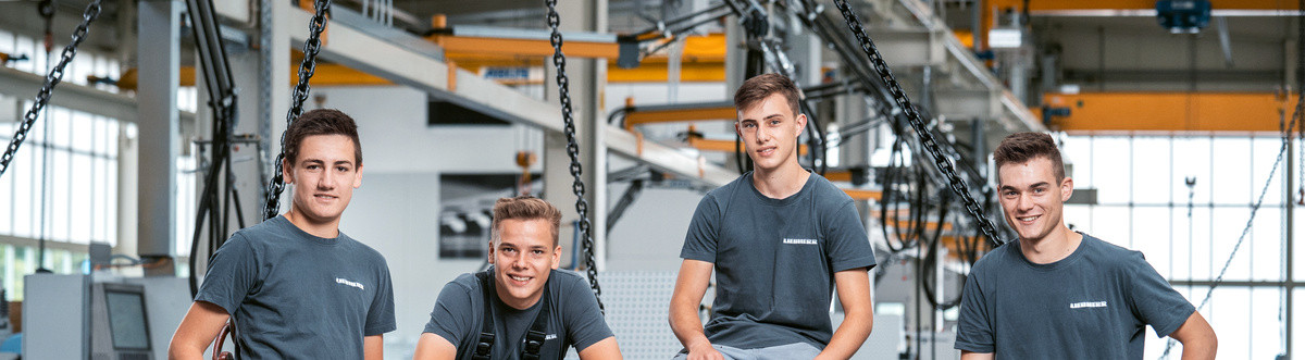 Lehre Kfz-Techniker (m/w/d) – Systemelektronik bei Liebherr am Standort Bischofshofen